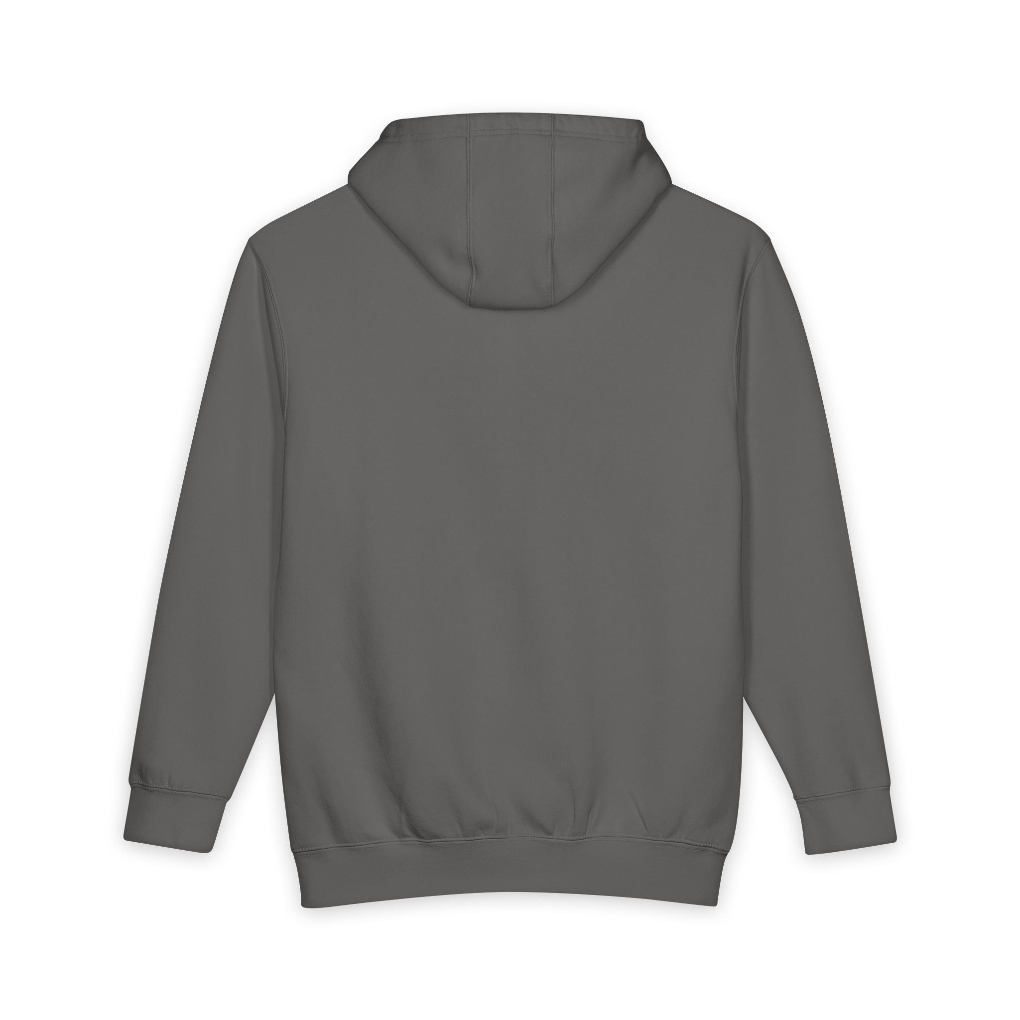 Release The Files - Heavyweight Hoodie